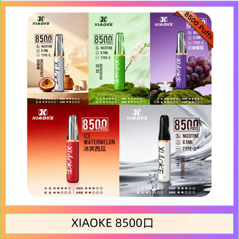 梟客XIAOKE一次性電子菸拋棄式8500口